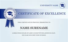 Certificate of Excellence